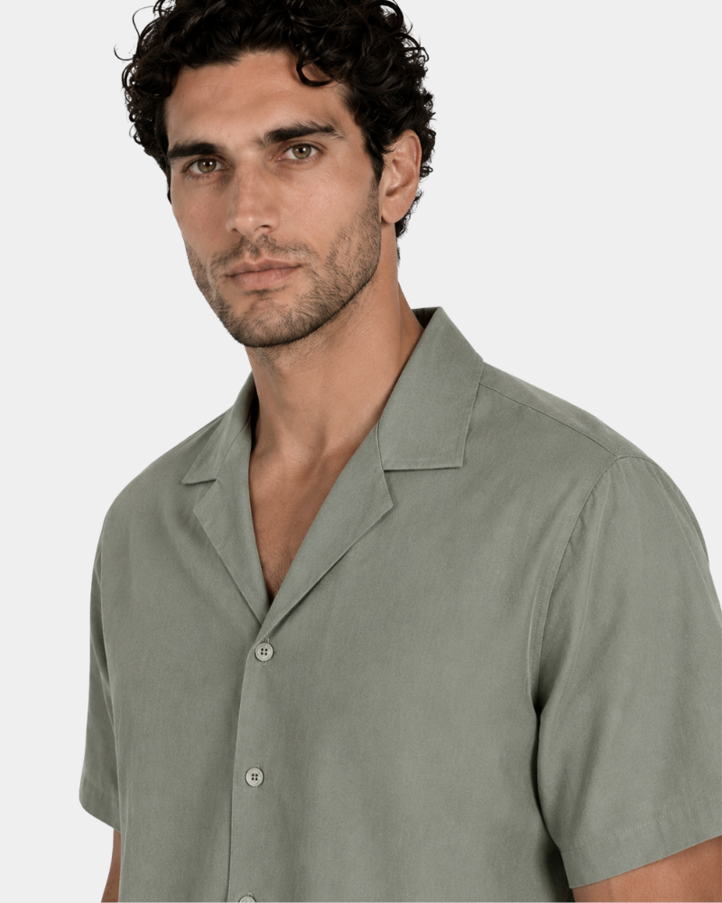 #Color_olive green