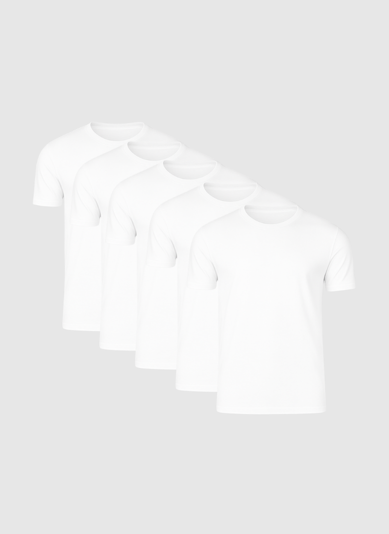 Smart fit T-shirt - 5 pack - Alden & Ash